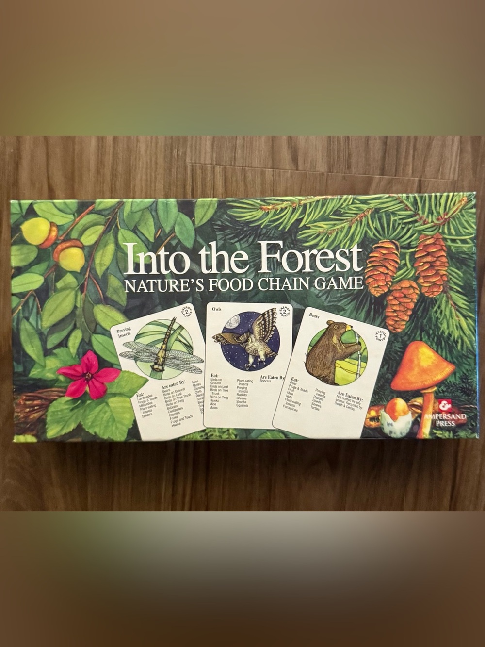 Into the Forest: Nature’s Food Chain Game by Ampersand Press, Inc